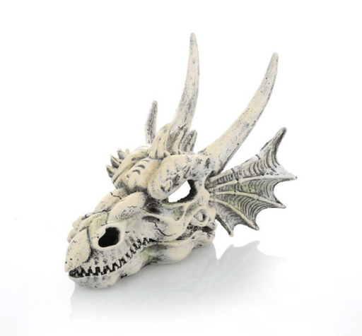 ‏דקורציה ראש דרקון 21 ס״מ