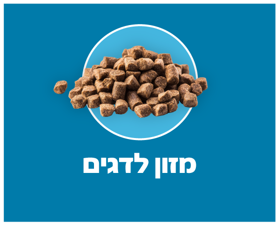 מזון לדגים