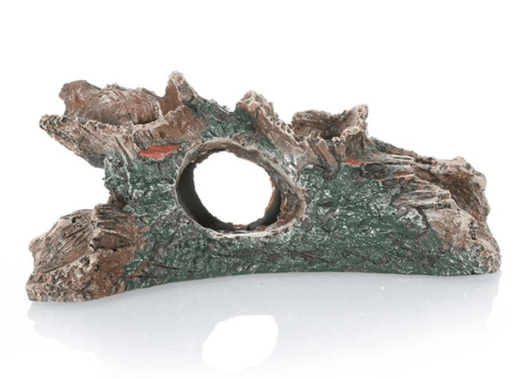 ‏דקורציה גזע 15/7 ס״מ