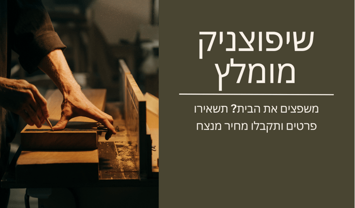 שאלות חשובות שצריך לשאול את כל בעלי מקצוע