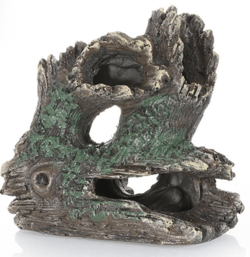 ‏דקורציה גזע 15/13 ס״מ