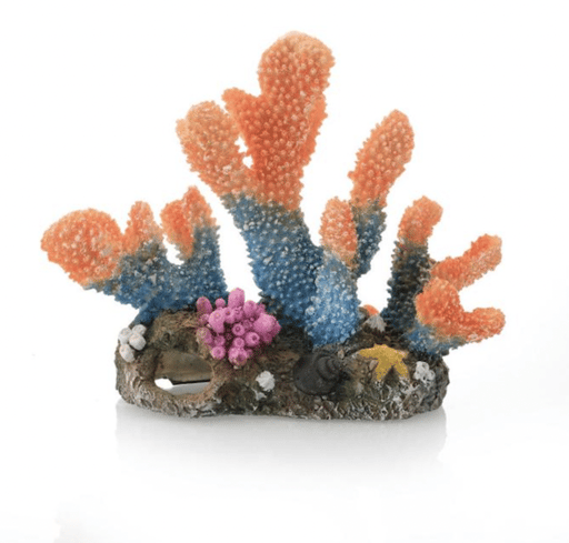 ‏דקורציה אלמוג 22/16 ס״מ