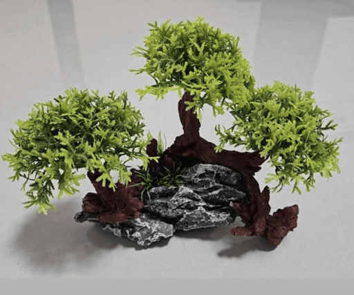 ‏דקורציה סלע עם צמיחה 21/17 ס״מ