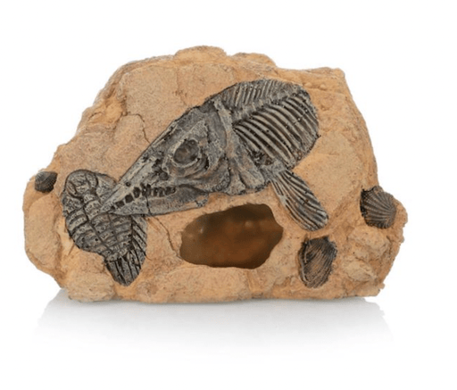 ‏דקורציה סלע 18/11 ס״מ