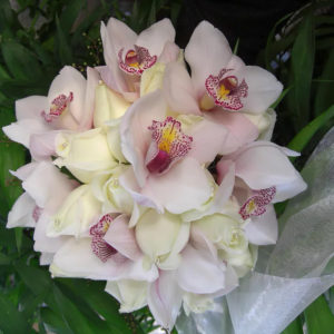 מיקס סחלבים ורדים