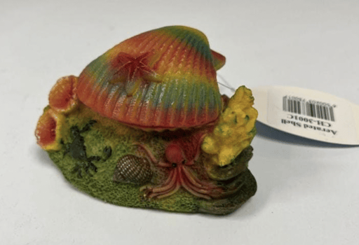 ‏דקורציה קונכיה 10 ס״מ