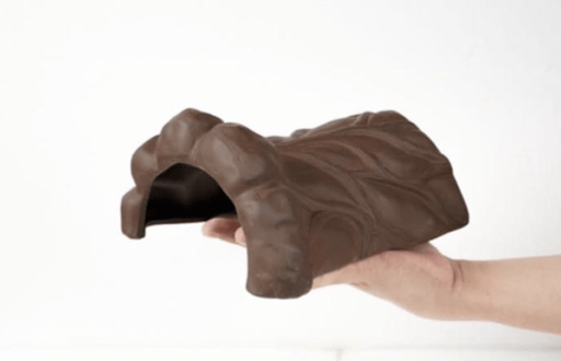 ‏דקורציה לזוחלים 22/19/11 ס״מ