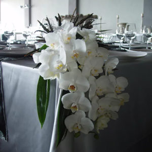 זר סחלב נשפך