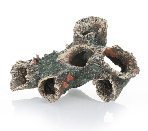 ‏דקורציה גזע 14/8 ס״מ