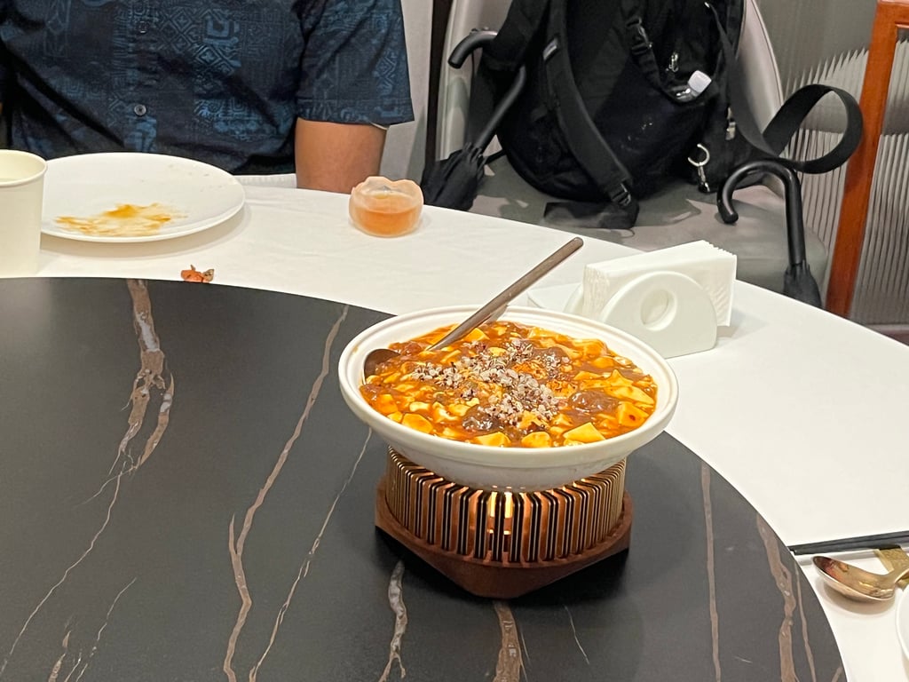 This is Mapo Tofu, a prototypical spicy Sichuanese dish. One of my favorite Chinese dishes, IMO it’s even better when it contains Sichuanese peppercorns (numbing spice).