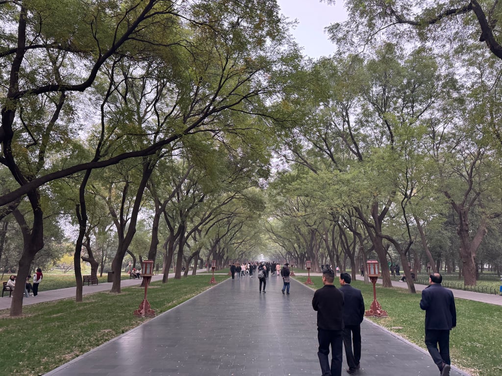 One of the many parks around Beijing. This one features medieval-period Taoist temples where emperors would pray for good harvests.