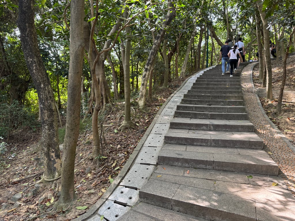 This park featured a short but steep hiking trail with pretty views at the top.