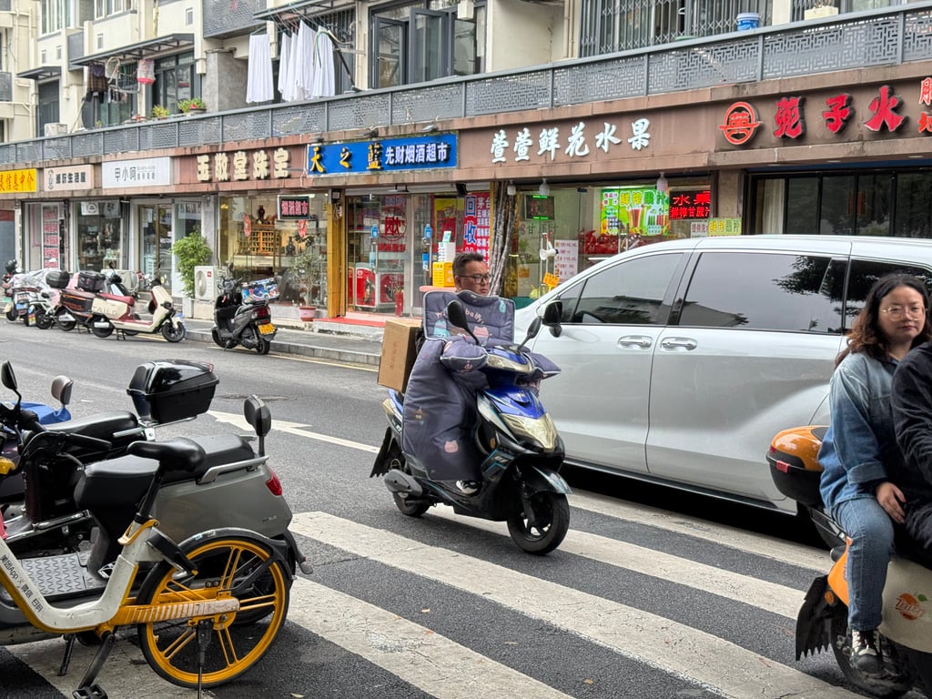 Most of the scooters had this attachable cover on the handles to keep the driver’s fingers warm and dry during the rainy/cold seasons.