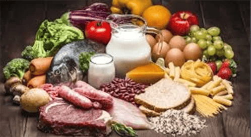 Texto explicativo ilustrado