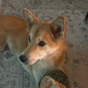 Profile photo of lele