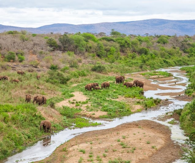 Untitled design - 2025-07-08T214115.353