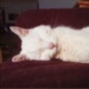 Profile photo of Leanne