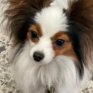 Profile photo of Marsha Montgomery