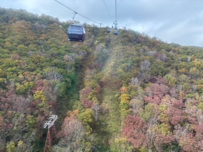 B06C4ED0-B28C-4260-8490-98173AF94165_4_5005_c