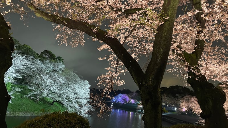 3BDD9DC2-ACBC-4914-A32D-28A260A24586