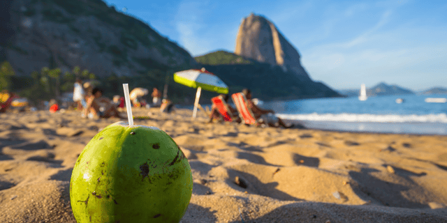 Scenery Seek Cover Image (28)