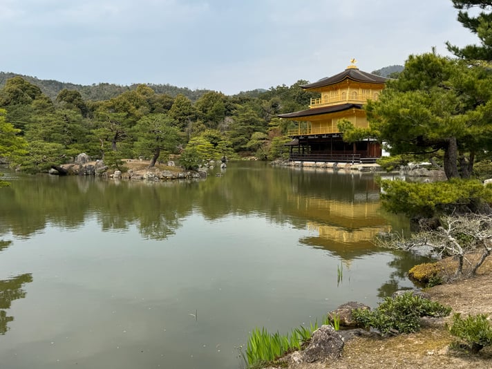 5D5879C0-60FA-41CD-824E-BE39B58EC7A9