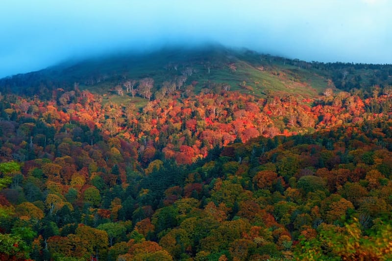 Matsukawa area Towada Hachimantai National Park 1