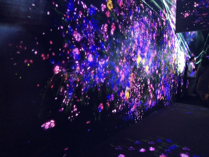 82F7AA21-1843-4B71-99F9-6C8E812D6E4E