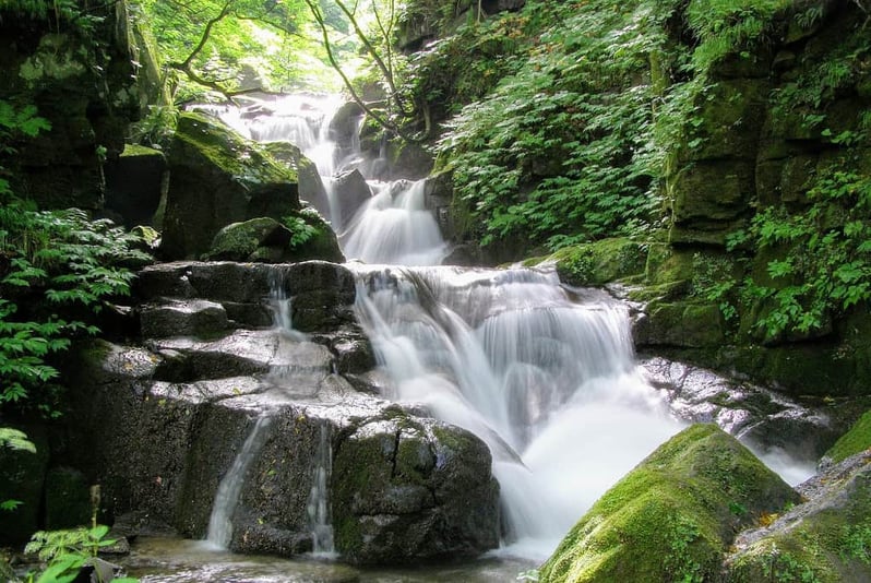 Oirase Gorge Towada Hachimantai National Park