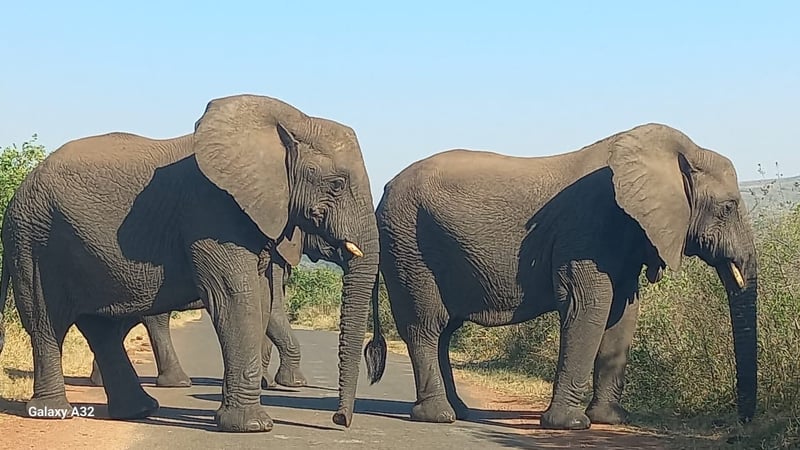 bb7c55db-1a0f-4551-a5bf-fa5f17de8ded