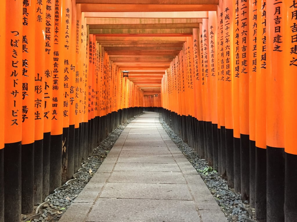 09E21E36 81B7 40FC B76C 2CE06B73B70F