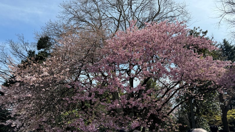 65C3B26A-12FA-420D-81AB-EBA802DFD1AD