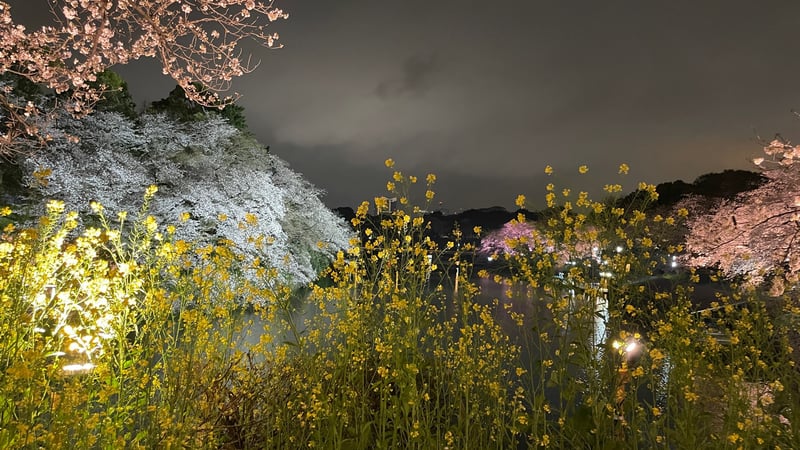 6A9A5724-1BAB-4414-BA75-E33BF5EBEBE4