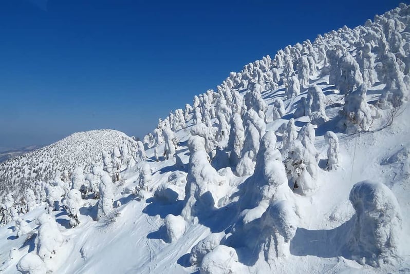 Snow monsters Hakkōda Towada Hachimantai National Park