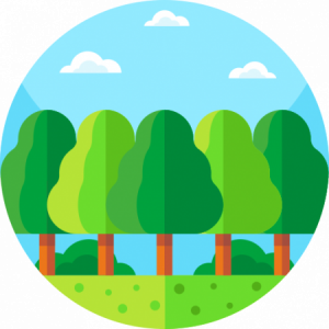 Group logo of The Accessible Outdoors