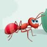 Profile photo of tabita