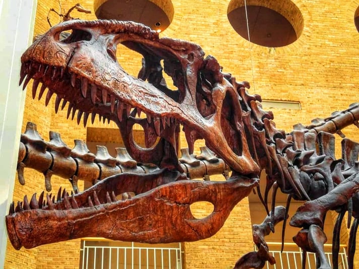 FB_IMG_1698404726524-01