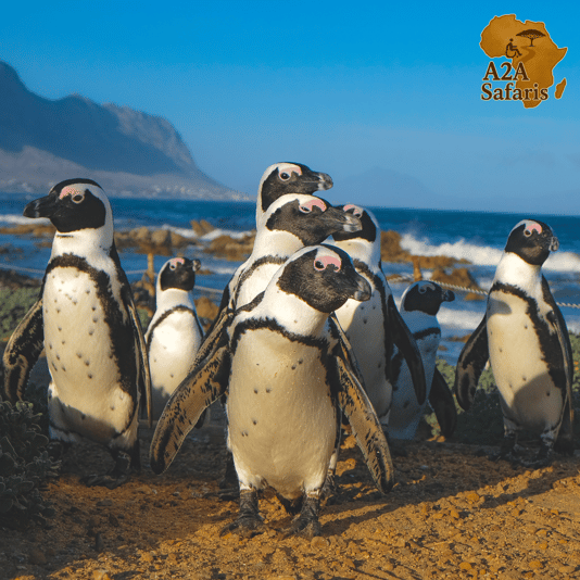 Untitled design (45)