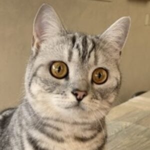 Profile photo of Julie