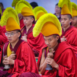 Profile photo of Musical