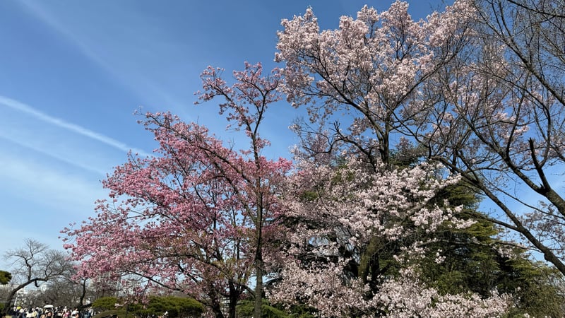 7FA63F24-0141-4489-9EDB-DBC5FAAB3265