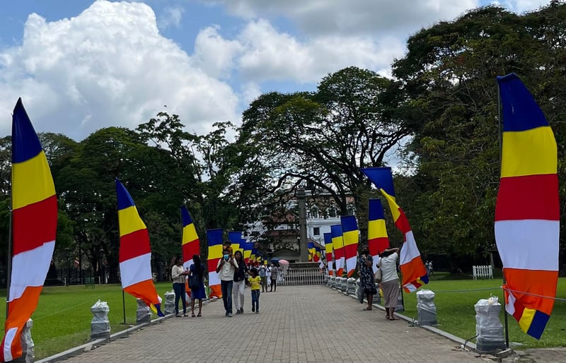 287298626_723061348962750_7936162060782416100_n