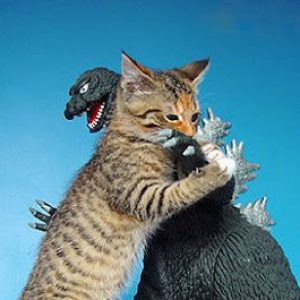 Group logo of Japan - Just for Fun