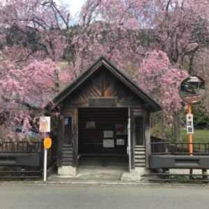 Profile photo of ONETRAIL