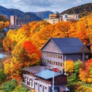 Profile photo of Amy