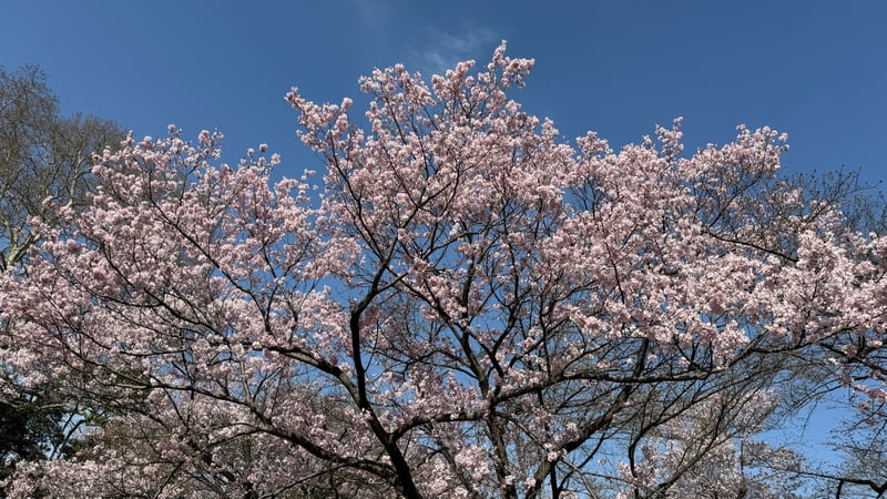 7656D4B0-BAE7-4353-8AA9-D12D84308B69