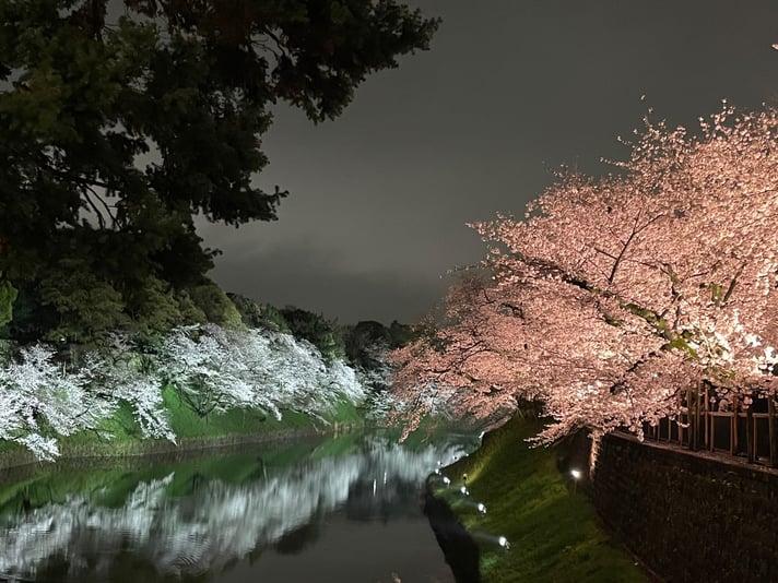 9C9854E4-3799-4F2F-9D1E-F49D8930AAA6