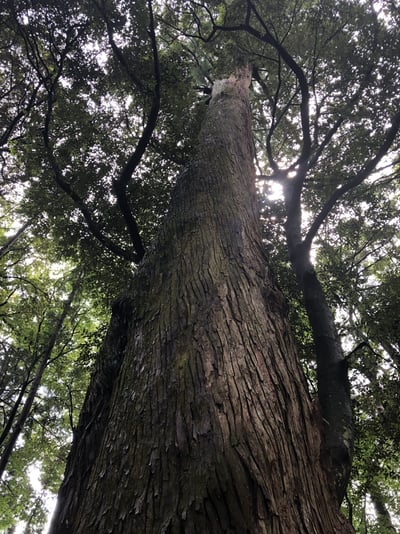 20180624_013116456_iOS