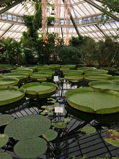 2C35044E-3363-4A89-8B0F-DAAE758C7D6C