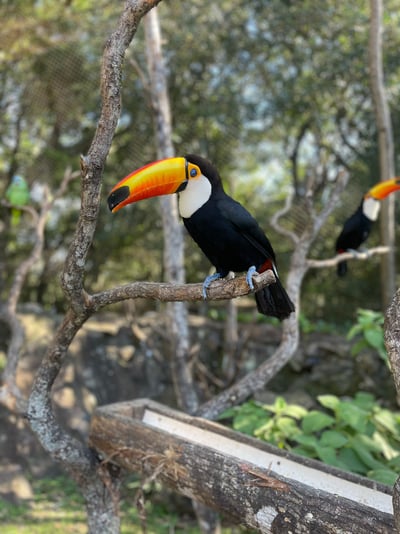 WhatsApp Image 2023-08-03 at 09.03.49